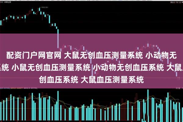 配资门户网官网 大鼠无创血压测量系统 小动物无创血压分析系统 小鼠无创血压测量系统 小动物无创血压系统 大鼠血压测量系统